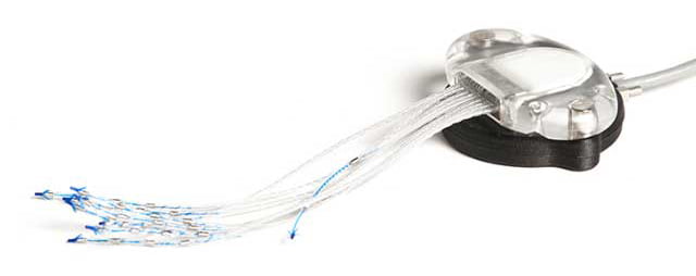 Ripple neuro的Link R-32植入子